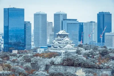 Osaka – Kobe – Kyoto – Nagoya – Mount Fuji – Tokyo - Image - 513