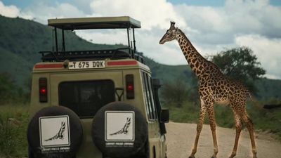 6-Day Best Value Safari in Tanzania - Image - 20454