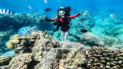 Cham Island Sightseeing & Snorkeling Tour, pick up at Danang or Hoian - Image - 19886