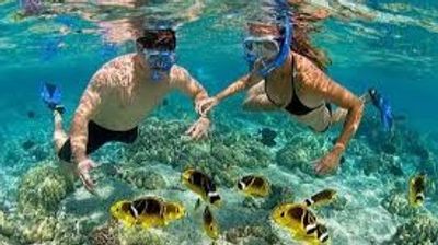 Cham Island Sightseeing & Snorkeling Tour, pick up at Danang or Hoian - Image - 19883