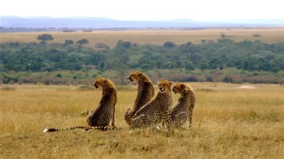 Tsavo West & Tsavo East Safari from Mombasa – The Land of Giants - Image - 21208