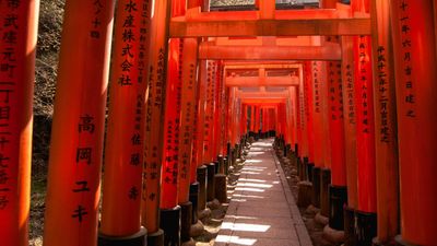 [NHẬT BẢN 6N5Đ] Osaka - Kyoto - Nagoya - Fuji - Yamanashi - Tp Hồ Chí Minh - Image - 14750