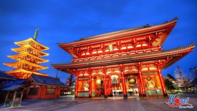 HÀ NỘI – NAGOYA – KYOTO – OSAKA – KOBE - TOKYO - Image - 8407
