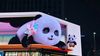 HÀ NỘI - CỬU TRẠI CÂU - LẠC SƠN - THÀNH ĐÔ - TRẤN CỔ LẠC ĐỚI - Cao tốc 2 chiều 6N5Đ - Image - 13211