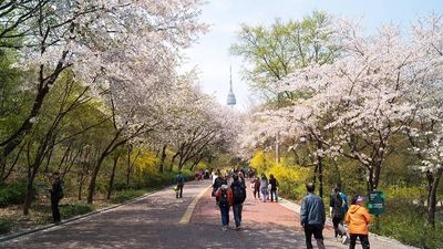 SEOUL - ĐẢO NAMI - EVERLAND - THÁP NAMSAN - CÔNG VIÊN YEOUIDO - LÀNG VĂN HÓA NAMSAN 5N4Đ - Image - 10374