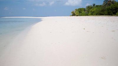 Omadhoo Hidden Gem: Whale Shark Territory | 4 Nights at Coral View Inn, South Ari Atoll - Image - 17943