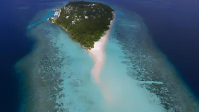Omadhoo Hidden Gem: Whale Shark Territory | 4 Nights at Coral View Inn, South Ari Atoll - Image - 17942