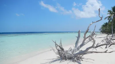 Omadhoo Hidden Gem: Whale Shark Territory | 4 Nights at Coral View Inn, South Ari Atoll - Image - 17940