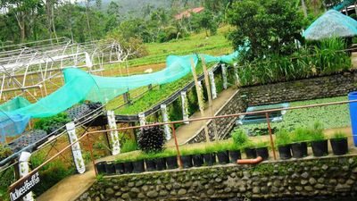 Philippines Journey: Costales Nature Farm Day Tour - Image - 9866