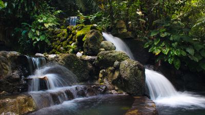 Philippines Journey: Hidden Valley Day Tour - Image - 9871