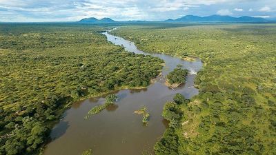 4-Day Nyerere and Mikumi National Parks- Mid Range Safari-Fly out - Image - 18044