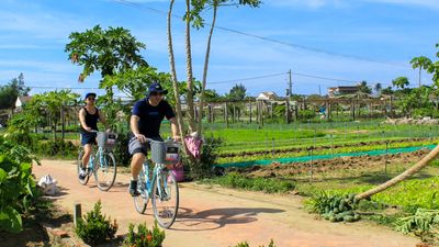 SOUTHEAST ASIA 21-DAY HIGHLIGHTS TOUR - Image - 20515