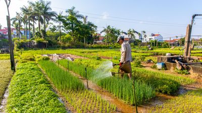 VIETNAM 10-DAY SOUTH-TO-NORTH CULTURAL ODYSSEY - Image - 20480