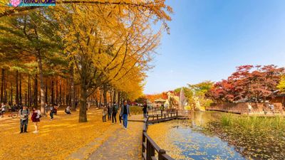 [6 ngày 5 đêm-VN] Khám phá hoa anh đào: BUSAN – SEOUL – ĐẢO NAMI – NAMSAN – INCHEON - Image - 6805
