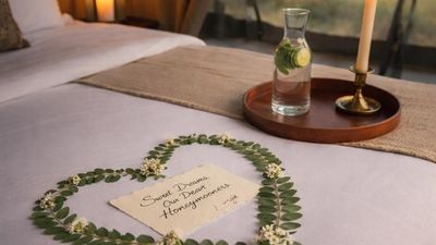 Serengeti & Zanzibar Luxury Honeymoon Safari - Image - 18820