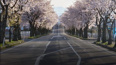 CUNG ĐƯỜNG VÀNG NHẬT BẢN: NARA – OSAKA – KYOTO – NAGOYA – PHÚ SĨ – TOKYO (NO SHOP) - Image - 10331