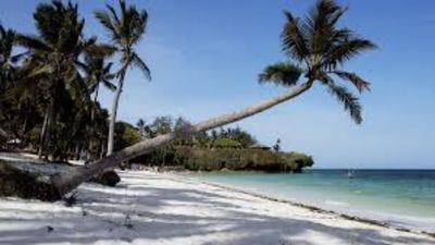 6 Days Nairobi-Amboseli -Tsavo West/East Mombasa Diani Beach Tour - Image - 19076