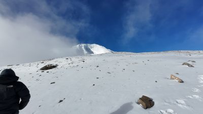 Annapurna Circuit Trek - Image - 19784