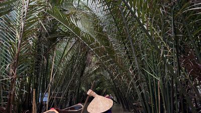 CU CHI TUNNELS & MEKONG DELTA FULL DAY - Image - 21674