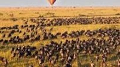 Kenya Photographic Safari Itinerary for the Great Migration: Tsavo to Maasai Mara River Crossings (Peak Season Guide) - Image - 20738