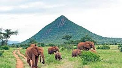 Ultimate Kenya Big Five Safari, Northern Wilderness & Diani Beach Holiday - Image - 20004