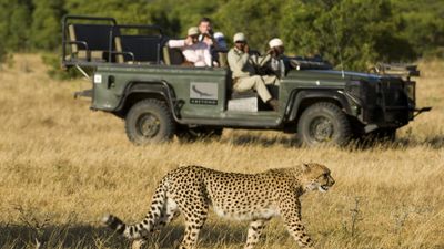 NAM PHI – VÙNG ĐẤT CẦU VỒNG : CAPE TOWN – NÚI BÀN – MŨI HẢO VỌNG – SAFARI GAME – PRETORIA – SOWETO – JOHANNESBURG - Image - 6432