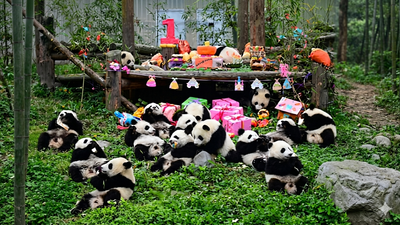 5D4N Beijing Historical Tour: 5-Star Luxury Package - Image - 25881