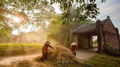 Hanoi Day Tour: Explore Duong Lam Ancient Village & Quang Phu Cau Incense Village - Image - 18158