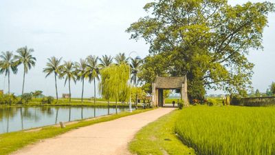 Hanoi Day Tour: Explore Duong Lam Ancient Village & Quang Phu Cau Incense Village - Image - 18164