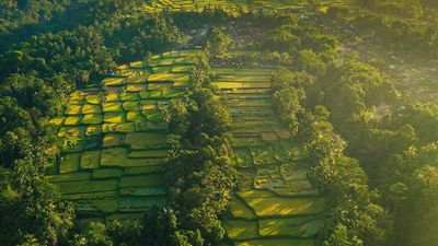 Island of the Gods – 5D4N Get To Know Culture, Temples &amp; Nature - Image - 11458