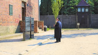 Auschwitz Birkenau Museum with hotel pick up - Image - 14535