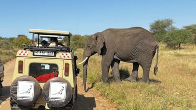 7-Day All-Inclusive Luxury Family Safari - Image - 20621