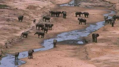 2-Day Affordable 2-Day Safari in Northern Tanzania - Image - 25158