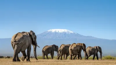 7 Days / 6 Nights - Kenya Classic Experience - Image - 18084