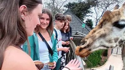 Mombasa: Nguuni Nature Sanctuary Guided Giraffe Feeding Excursion - Image - 8725