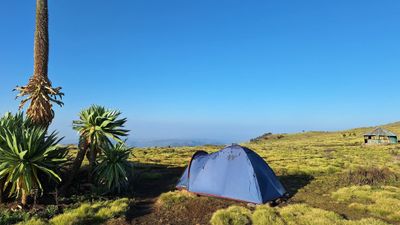 10 day Simien Mountain National parkTrekking Adventure - Image - 18858