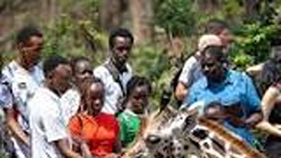 Haller Park Day Tour Mombasa Nature & Wildlife Experience - Image - 26115