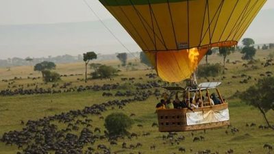 4-Day Private Ndutu Migration Flying Safari from Z'Bar - Image - 25052