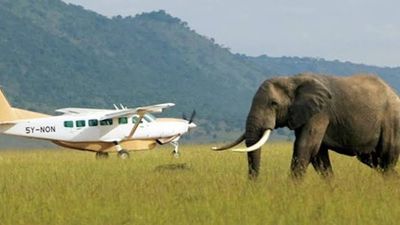 3 Days Mombasa to Masai Mara Big Five Luxury Flying Safari Tour - Image - 20384