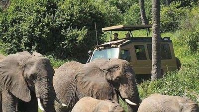 2-Day Budget Group Safari Tarangire & Ngorongoro Crater - Image - 25135