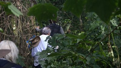 3-day Primate Tracking Rwanda Safari - Image - 21954
