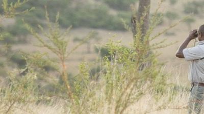 4-Day Short Safari with Guided Nature Walk Extension - Image - 20628
