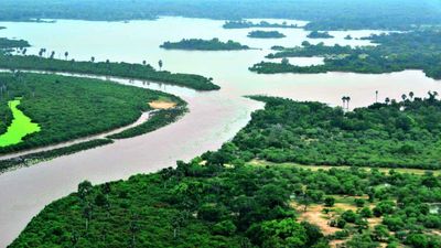 4-Day Nyerere and Mikumi National Parks- Mid Range Safari-Fly out - Image - 18038