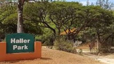 Haller Park Nature Tour Mombasa – Giraffes & Wildlife - Image - 21654