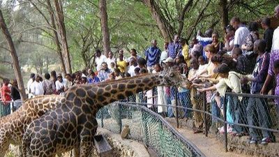 Haller Park Day Tour Mombasa Nature & Wildlife Experience - Image - 26117