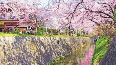 [6 ngày 5 đêm] KHÁM PHÁ NHẬT BẢN MÙA HOA 2026 HÀ NỘI – NAGOYA – NARA – OSAKA – KYOTO – NÚI PHÚ SĨ – TOKYO – HÀ NỘI - Image - 8700