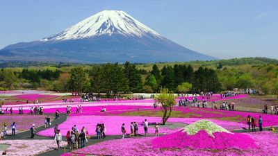 HÀ NỘI- OSAKA –KOBE–NAGOYA- KYOTO – NÚI PHÚ SĨ – LỄ HỘI HOA CHI ANH- TOKYO - Image - 8610