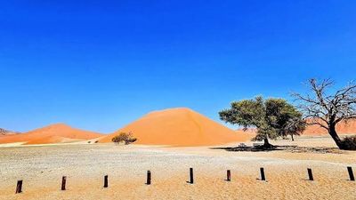 Tour Châu Phi: Hành trình khám phá Kenya - Namibia 13N12Đ - Image - 25380