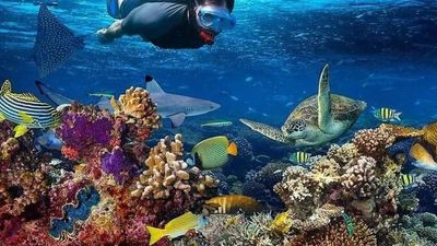 4-Day Zanzibar Mid-Range Beach Holiday – Island Escape from Kenya or Tanzania Mainland - Image - 18057