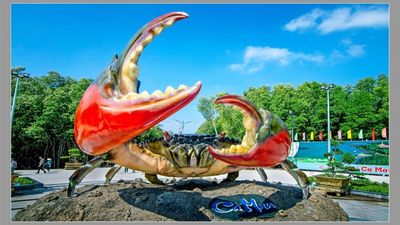 MEKONG DELTA DISCOVERY: CAN THO - SOC TRANG - BAC LIEU - CA MAU 2D1N - Image - 25706